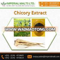 Healthy and Fresh Chicory Root Extract Powder for Bulk Supply