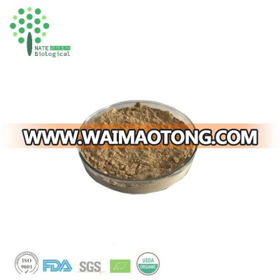 Amazing Anti-Cancer herb extract Lion's Mane Mushroom or Hericium Erinaceus Extract Polysaccharide 30% 50% Fruiting body